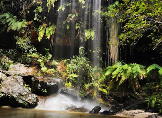 australia/blue-mountains-national-park/attraction/mabel-falls