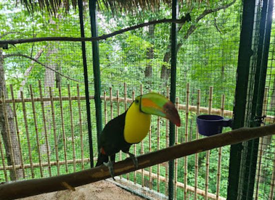 north-carolina/great-smoky-mountains/attraction/parrot-mountain-sign