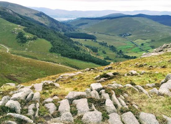 ireland/mourne-mountains/attraction/rocky-mountain