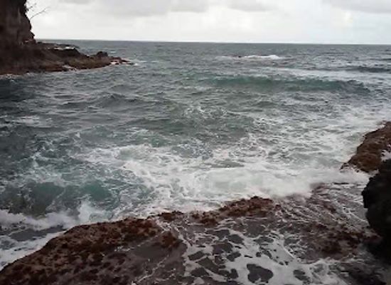 dominica/indian-river/attraction/thibaud-bat-cave