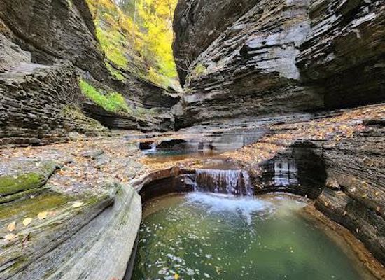 new-york/ithaca/attraction/watkins-glen-state-park