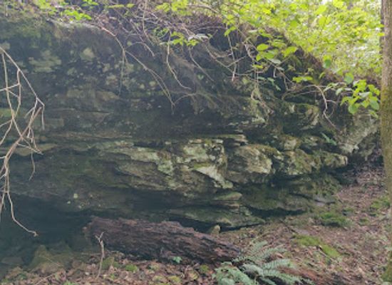 kentucky/mammoth-cave-national-park/attraction/dixon-cave-overlook-trail
