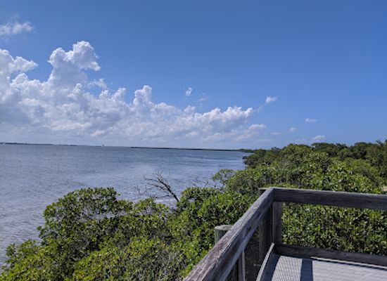 florida/ft-pierce/attraction/vitolo-family-preserve-north