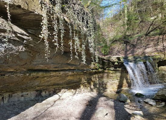 switzerland/vaud/attraction/la-cascade-de-la-mebre