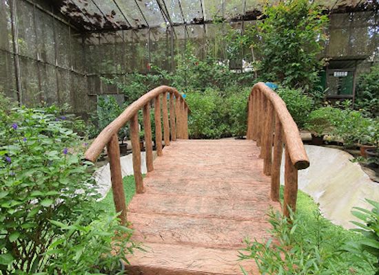 brunei/mukim-bangar/attraction/taman-kulimambang-butterfly-garden