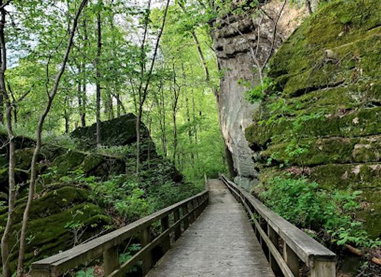 illinois/illinois-ozarks/attraction/giant-city-state-park