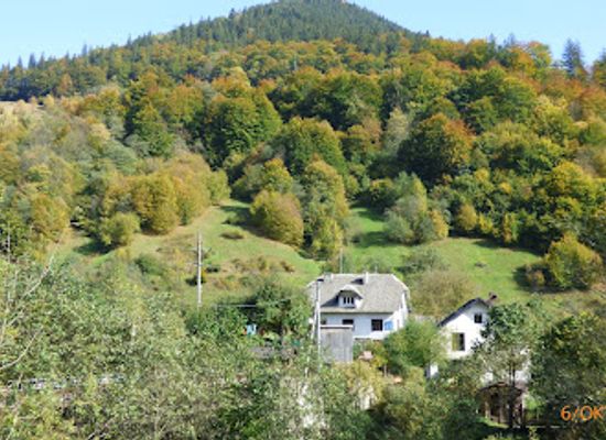 ukraine/dragobrat/attraction/kevelivske-pryrodookhoronne-naukovo-doslidne-viddilennya-kbz