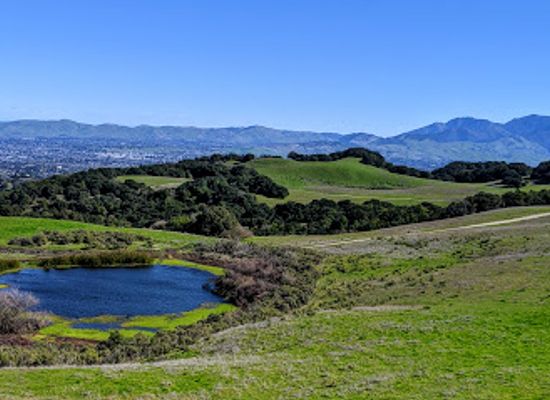california/martinez/attraction/briones-regional-park