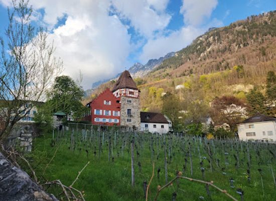 liechtenstein/ruggell-region/attraction/red-house-vaduz