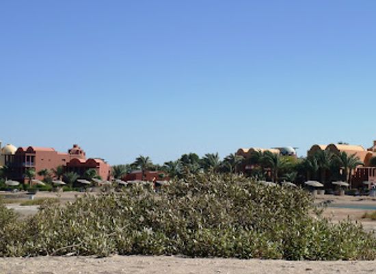 egypt/el-gouna/attraction/mangroovy-natural-protectory