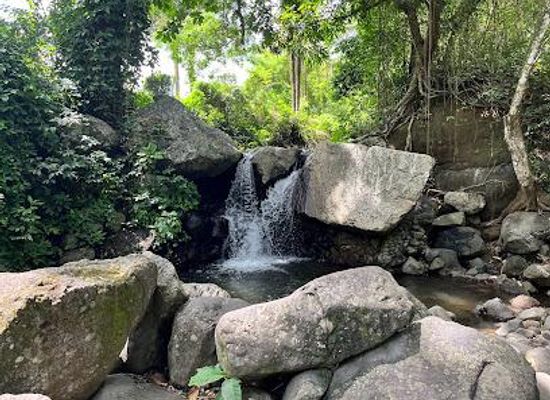 saint-vincent-and-the-grenadines/georgetown/attraction/walliabou-heritage-park