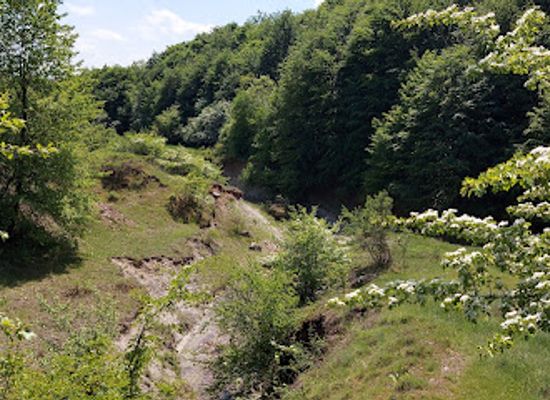romania/bihor/attraction/stracos-cave