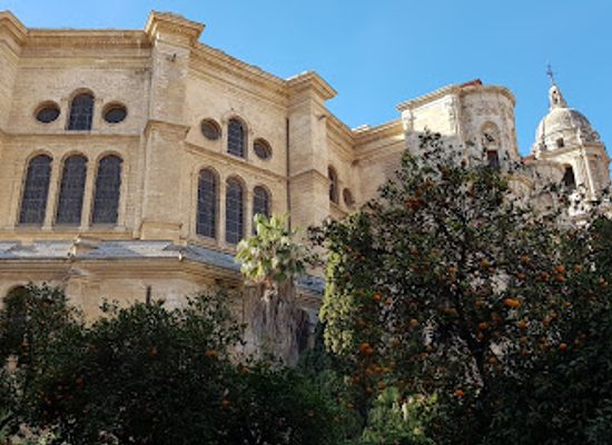 spain/malaga/attraction/museo-revello-de-toro