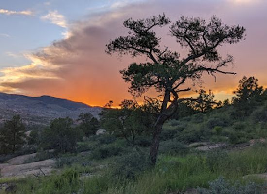 arizona/prescott-national-forest/attraction/williamson-valley-trailhead