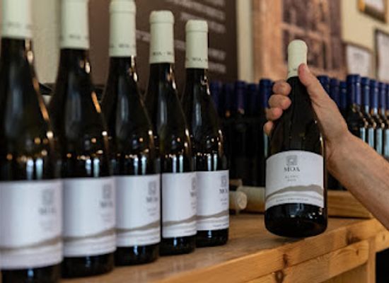 israel/arava/attraction/moa-winery