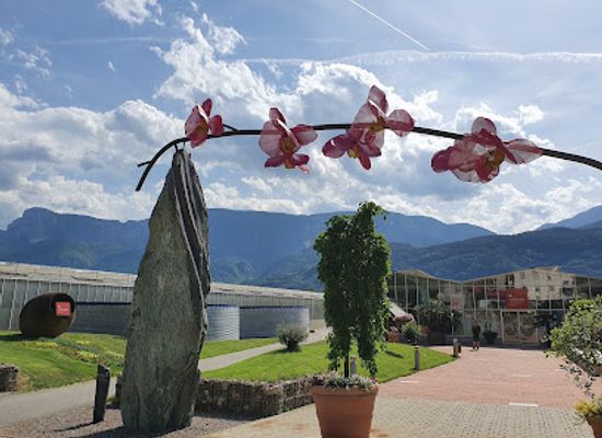 italy/val-venosta/attraction/raffeiner-theme-park