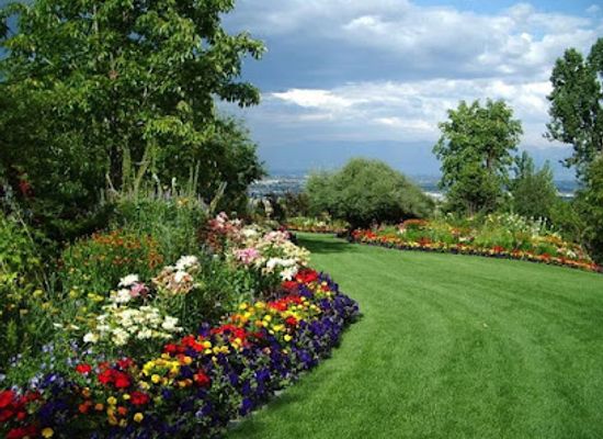 zimbabwe/mashonaland-west/attraction/sj-gardens-service