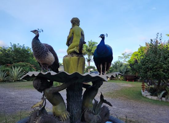 dominica/saint-david/attraction/paradise-valley-garden-nursery