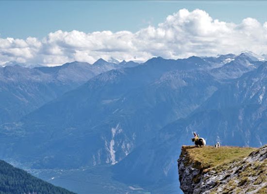 switzerland/valais/attraction/yaktrekking