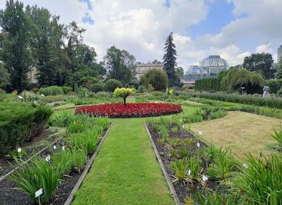 poland/krakow/attraction/botanical-garden-of-the-jagiellonian-university