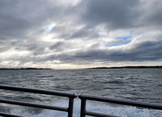 rhode-island/newport-county/attraction/save-the-bay-seal-tours