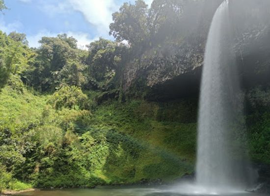kenya/mount-kenya-region/attraction/castle-forest-station