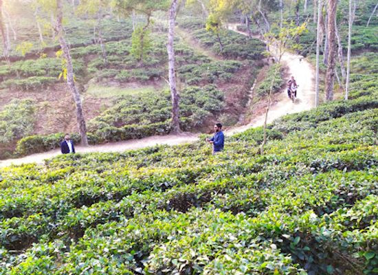 bangladesh/sylhet/attraction/lakkatura