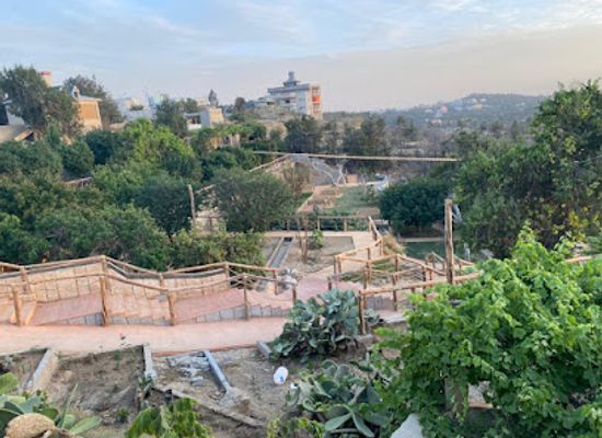 saudi-arabia/al-bahah/attraction/bridge-botanical-garden