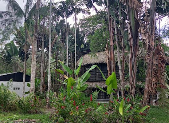 colombia/leticia/attraction/ecocentro-anokazi