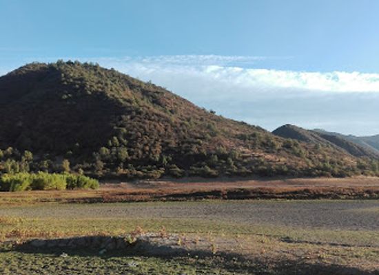 chile/o-higgins-region/attraction/humedal-de-millahue