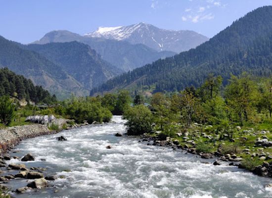 india/kashmir-valley/attraction/lavender-park