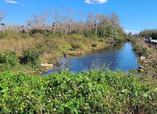 florida/big-cypress-national-preserve/attraction/florida-trail-southern-terminus