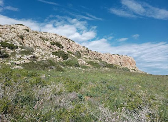 cyprus/makronissos-peninsula/attraction/fossils-stones
