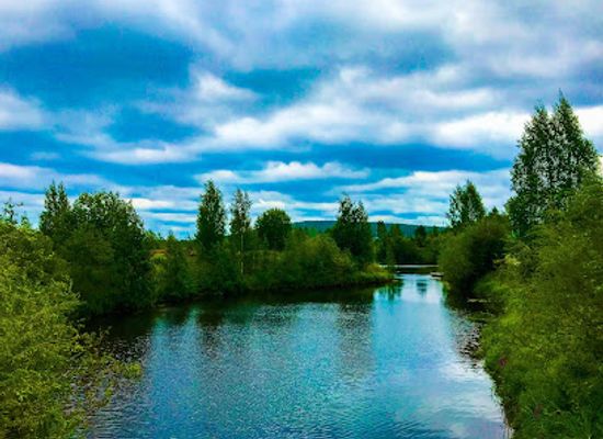 finland/savo/attraction/arktikum