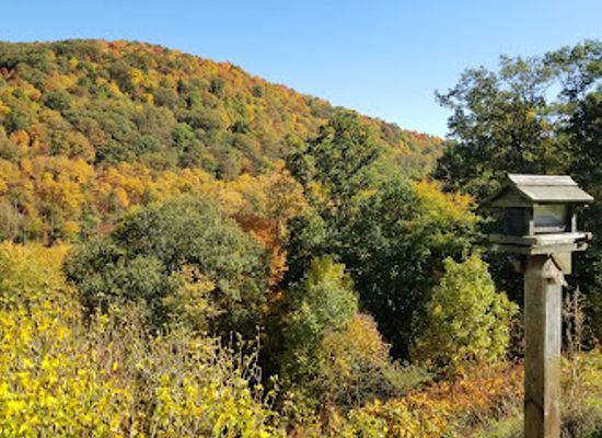 pennsylvania/laurel-highlands/attraction/conemaugh-gap-scenic-overlook