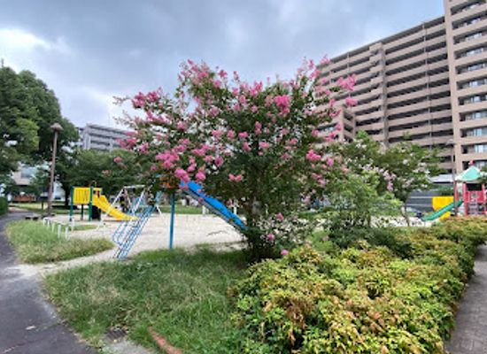 japan/chikuzen/attraction/sumiyoshi-park