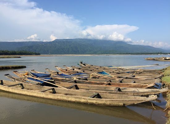 bangladesh/tanguar-haor/attraction/joynal-abedin-shimul-garden