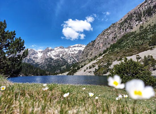 spain/aiguestortes-i-estany-de-sant-maurici-national-park/attraction/parc-nacional-d-aiguestortes