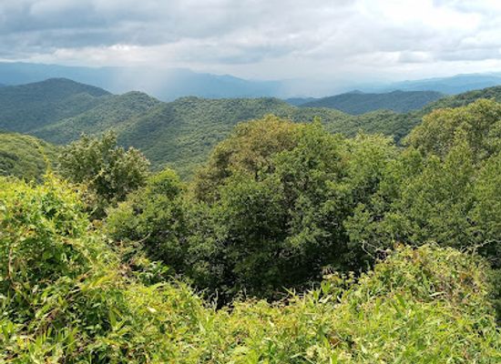 tennessee/great-smoky-mountains/attraction/smoky-mountains-sightseeing-pass