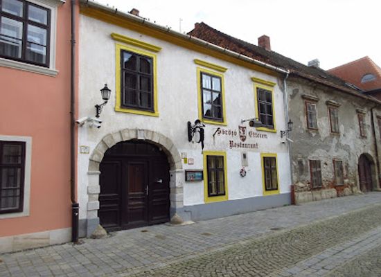hungary/sopron-wine-region/attraction/rosch-frigyes-emlektabla