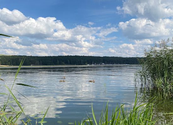poland/zegrze-reservoir/attraction/dzika-plaza