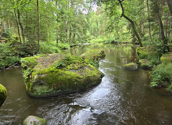 germany/upper-palatinate/attraction/waldnaabtal