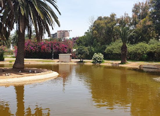 algeria/oran-coast/attraction/oran-zoo