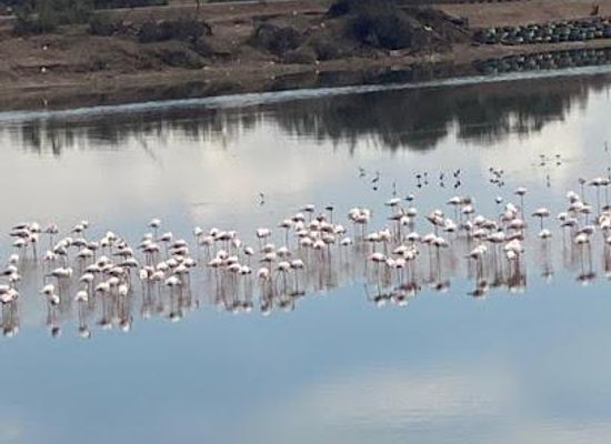 morocco/agadir/attraction/agadir-journey