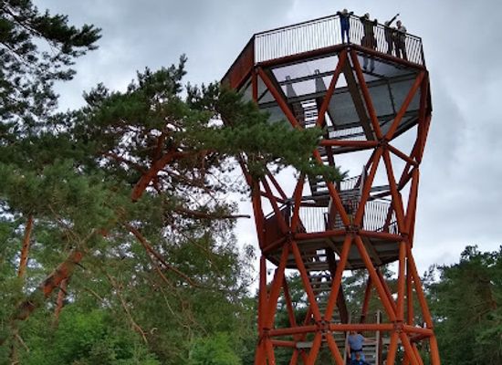 netherlands/veluwe/attraction/uitkijktoren-kootwijkerzand
