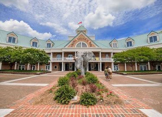 virginia/virginia-beach/attraction/virginia-zoo
