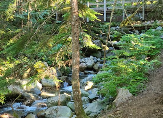 washington/western-washington/attraction/asahel-curtis-nature-trail
