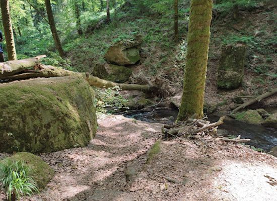 luxembourg/mullerthal/attraction/mullerthal-wooden-log-bridge
