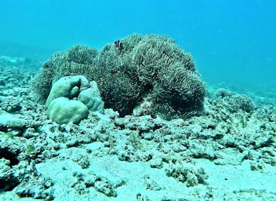 mauritius/le-morne-brabant/attraction/passe-saint-jacques