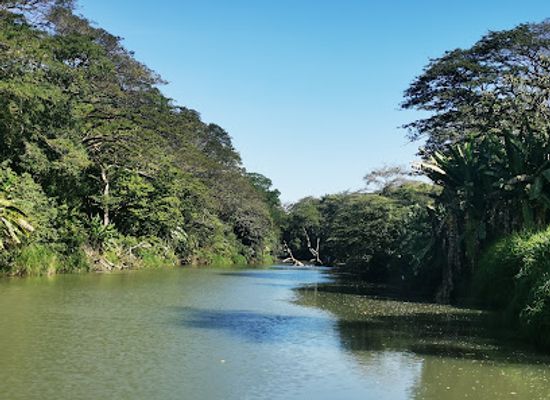 costa-rica/central-pacific/attraction/parque-nacional-palo-verde